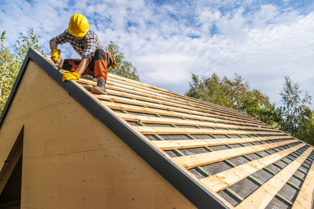 Best Roof Gutter Cleaning  in Broadway, NC
